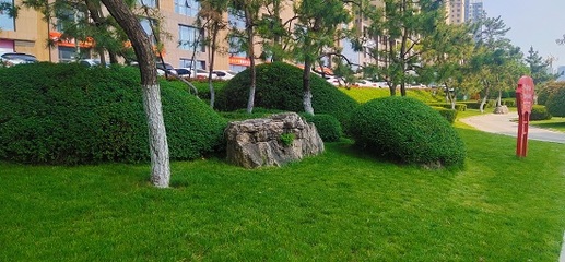 臨沂市臥虎山公園 加強綠化精致管養，扮靚城區迎五一