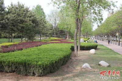 高溫天，銅川多措并舉為園林綠化“降溫護航”