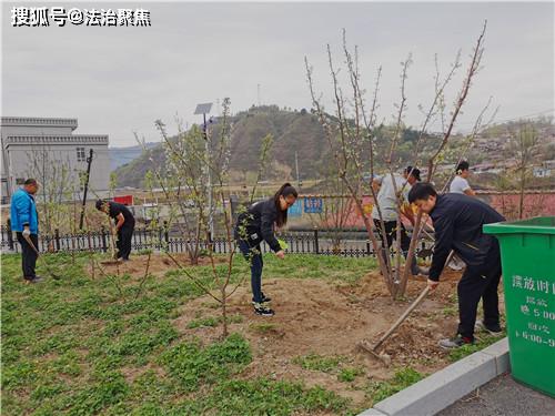 八道溝人民法庭開展庭院綠化活動，助力“加強管理年”落實綠化管理