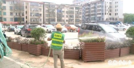 先急后緩、錯時澆灌 市園林綠化管理中心全力抗旱保綠