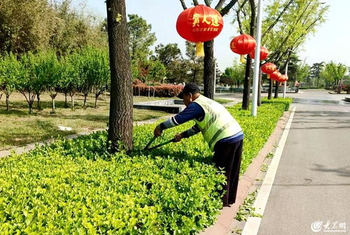 臨沭縣 以精細化綠化管理為抓手，全面提升城市治理水平
